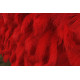 5d red feather fabric rolling up curtain flower wall cloth artificial plant wall wedding backdrop