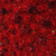 5d red rose hydrangea roll up cloth flower wall wedding backdrop