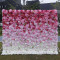 5d rose pink white gradient rolling up fabric curtain cloth flower wall wedding backdrop