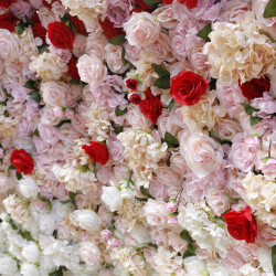 5d rose red white gradient rolling up fabric curtain cloth flower wall wedding backdrop