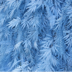 blue feather cloth roll up flower wall fabric hanging curtain plant wall event party wedding backdrop