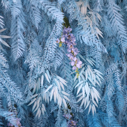 blue feather flower backdrop cloth roll up flower wall fabric hanging curtain plant wall event party wedding backdrop