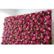 red and rose roses and green leaves cloth roll up flower wall fabric hanging curtain plant wall event party wedding  backdrop