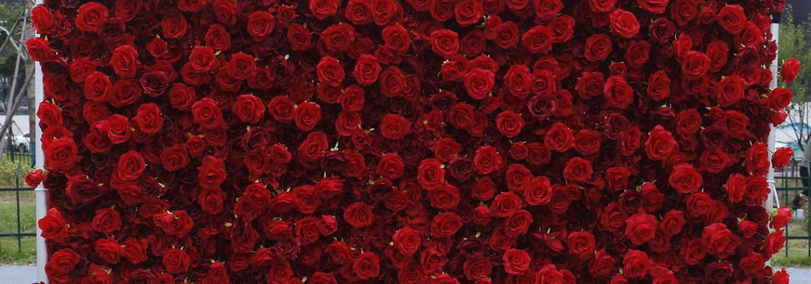 Red and Green Wedding Color Ideas: Beautiful Red, Green, and White Wedding Ideas Red and Green Wedding Color Ideas: Beautiful Red, Green, and White Wedding Ideas
