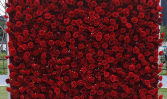 Red and Green Wedding Color Ideas: Beautiful Red, Green, and White Wedding Ideas